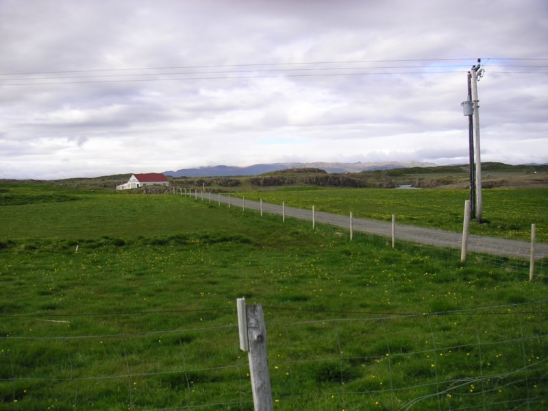 Photograph
