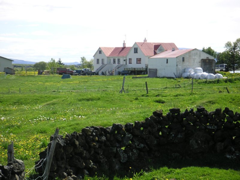 Photograph