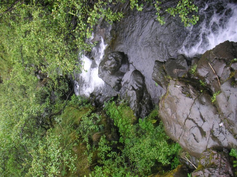 Photograph