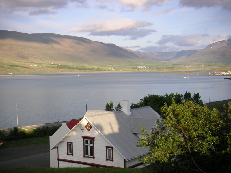 Photograph